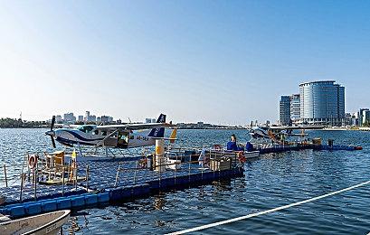 L5游戏《幻想生活i 转转龙和窃时少女》再次延期