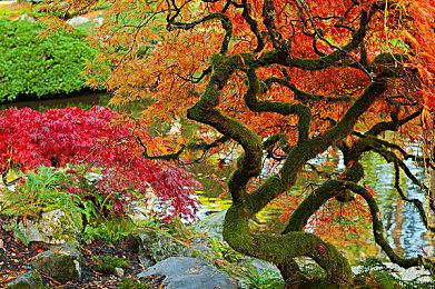 格斗游戏《夜下降生2》等3款游戏在韩国获得评级