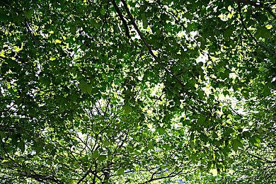 《龙腾世纪4》Steam多半好评 战斗系统不错动作流畅